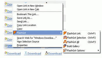 FlashGot v.1.1.8.5
