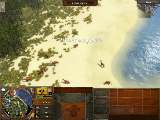 Age of Empire III 