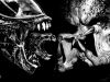 wallpaper name = Aliens vs predator wallpaper 11
wallpaper name=aliens_vs_predator11.JPG
wallpaper size=94KB
wallpaper Dimensions=800x600
wallpaper Date added=Aug 02, 2006 aliens_vs_predator11.JPG