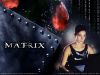 wallpaper name = Matrix wallpaper 11
wallpaper name=Matrix11.jpg
wallpaper size=105KB
wallpaper Dimensions=1024x768
wallpaper Date added=Aug 02, 2006 Matrix11.jpg