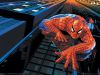 wallpaper name = spider men 2 wallpaper 7
wallpaper name=wallpaper_spider-man_02_1600.jpg
wallpaper size=469KB
wallpaper Dimensions=1600x1200
wallpaper Date added=Aug 04, 2006 wallpaper_spider-man_02_1600.jpg