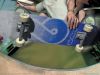 wallpaper name = tony hawks pro skater wallpaper
wallpaper name=wallpaper_tony_hawks_pro_skater_2_01_1600.jpg
wallpaper size=269KB
wallpaper Dimensions=1600x1200
wallpaper Date added=Aug 05, 2006 wallpaper_tony_hawks_pro_skater_2_01_1600.jpg